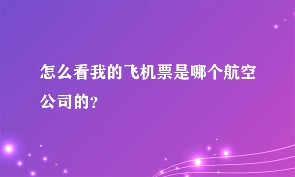 怎么看我的飞机票是哪个航空公司的？