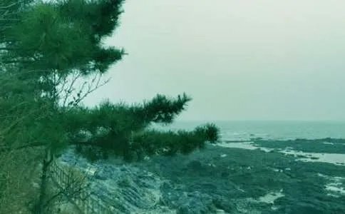 春风像什么的比喻句