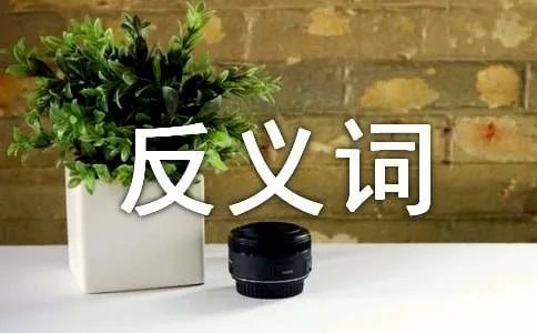 亲热的反义词近义词