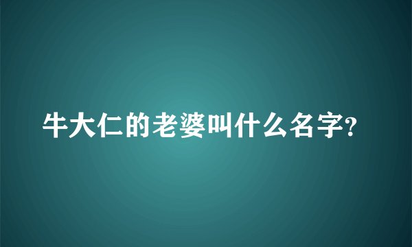 牛大仁的老婆叫什么名字？