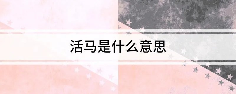 活马是什么意思