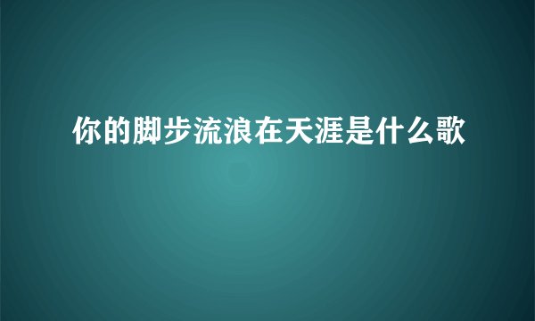 你的脚步流浪在天涯是什么歌