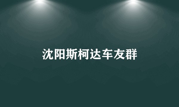 沈阳斯柯达车友群