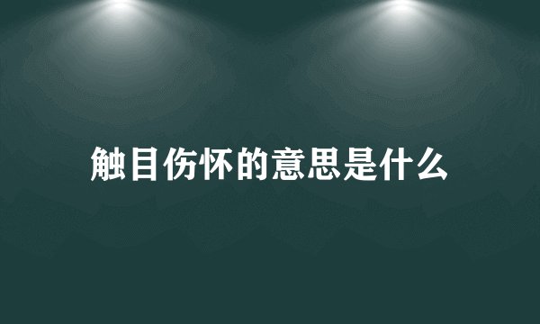 触目伤怀的意思是什么