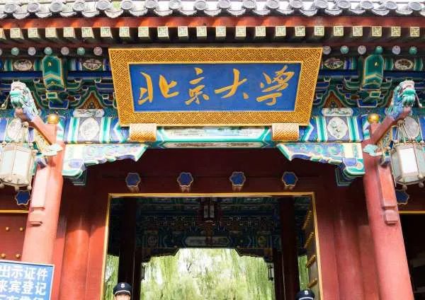 文科大学