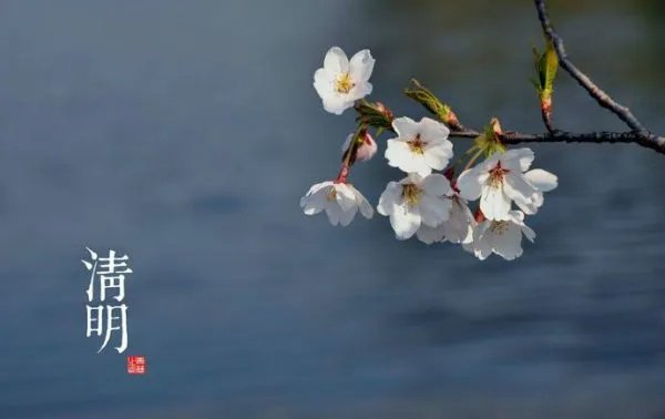 用清字组词语