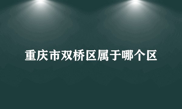 重庆市双桥区属于哪个区