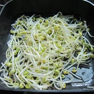 素炒豆芽菜