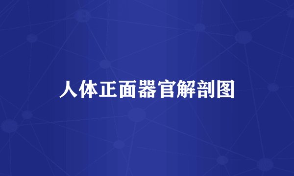人体正面器官解剖图