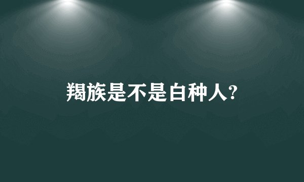 羯族是不是白种人?