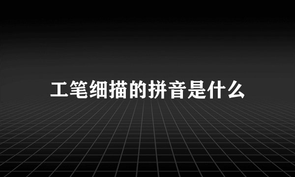 工笔细描的拼音是什么