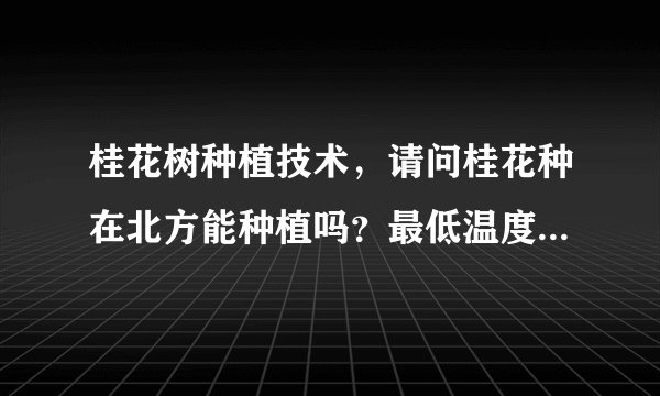桂花树种植技术，请问桂花种在北方能种植吗？最低温度是多少？