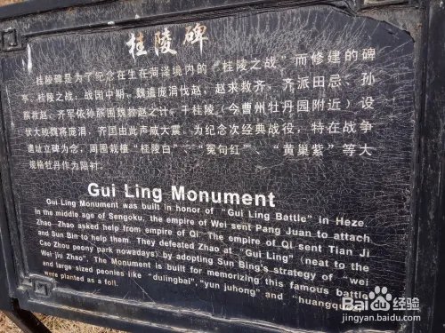 游玩菏泽牡丹园攻略(近期)
