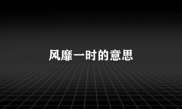 风靡一时的意思