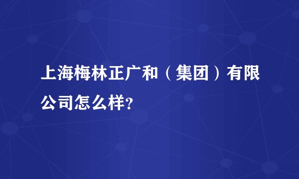 上海梅林正广和（集团）有限公司怎么样？