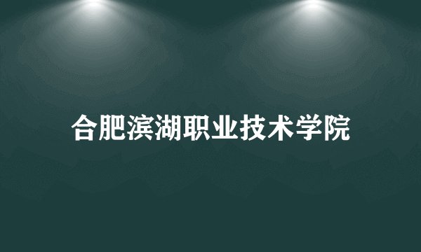 合肥滨湖职业技术学院