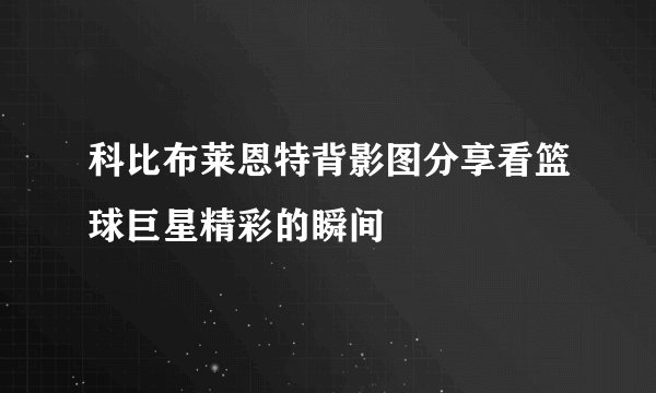 科比布莱恩特背影图分享看篮球巨星精彩的瞬间