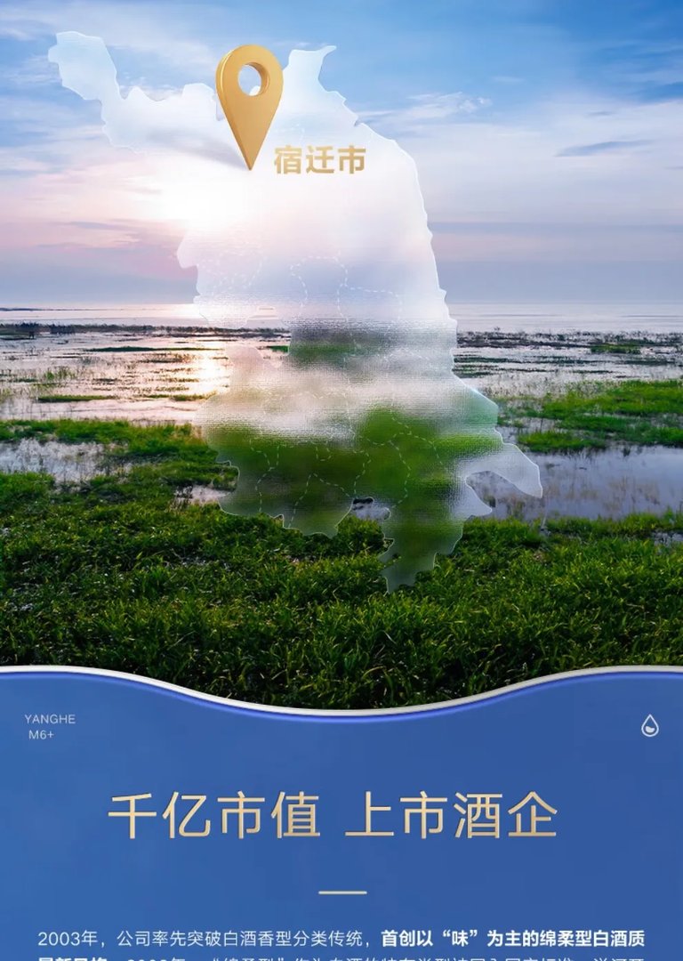 梦之蓝价格