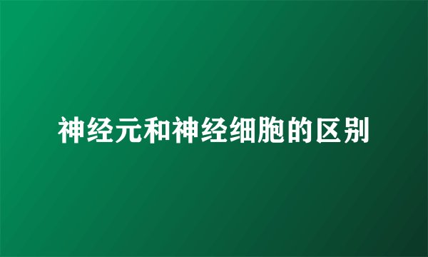神经元和神经细胞的区别