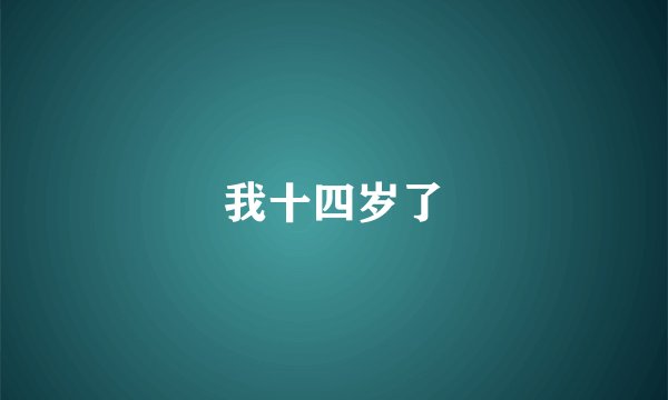 我十四岁了
