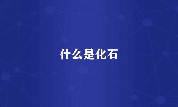 什么是化石