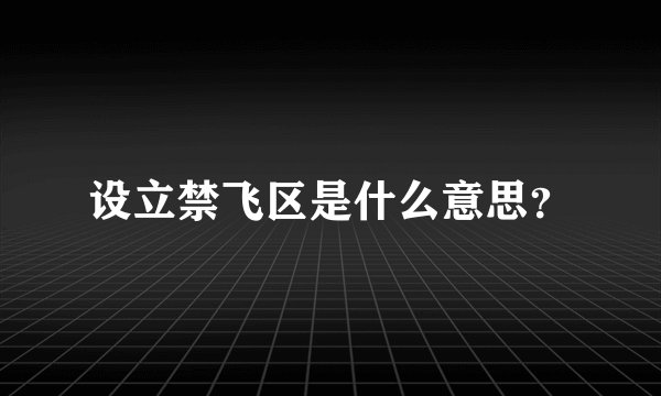 设立禁飞区是什么意思？