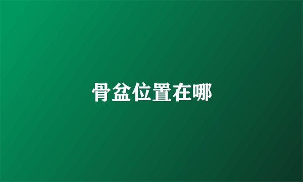 骨盆位置在哪