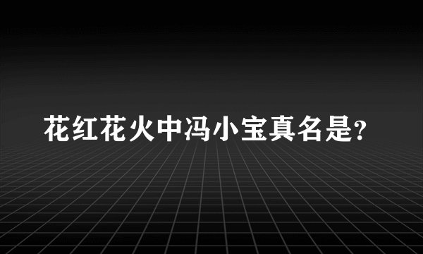 花红花火中冯小宝真名是？