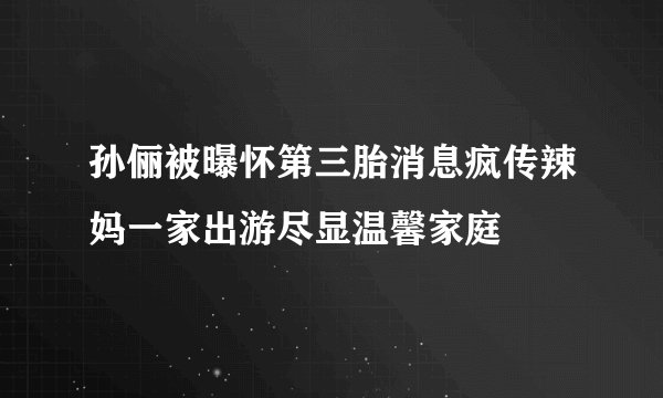 孙俪被曝怀第三胎消息疯传辣妈一家出游尽显温馨家庭