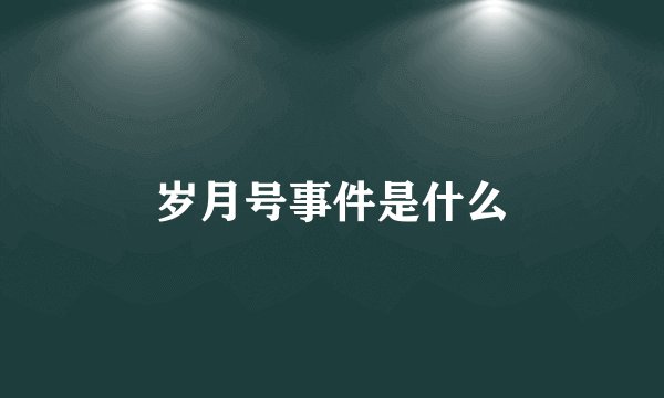 岁月号事件是什么