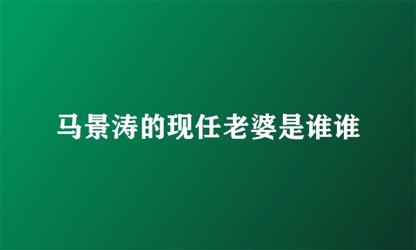 马景涛的现任老婆是谁谁