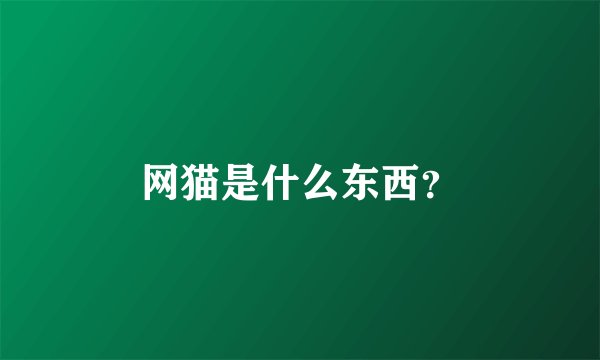 网猫是什么东西？