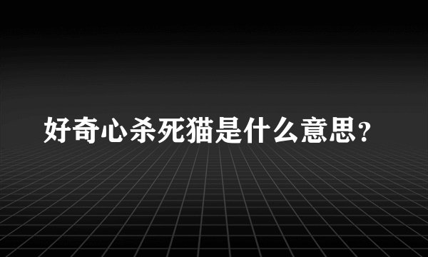 好奇心杀死猫是什么意思？