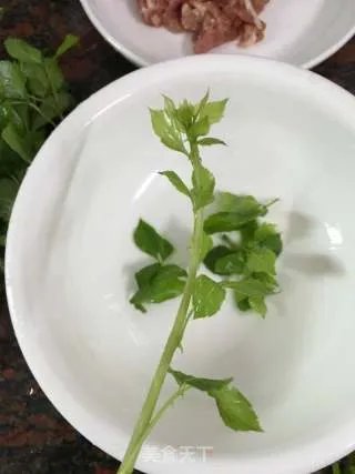 苦刺心瘦肉汤
