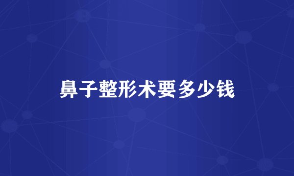鼻子整形术要多少钱