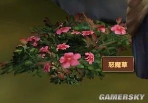 《模拟人生:中世纪》草药种类及分布图
