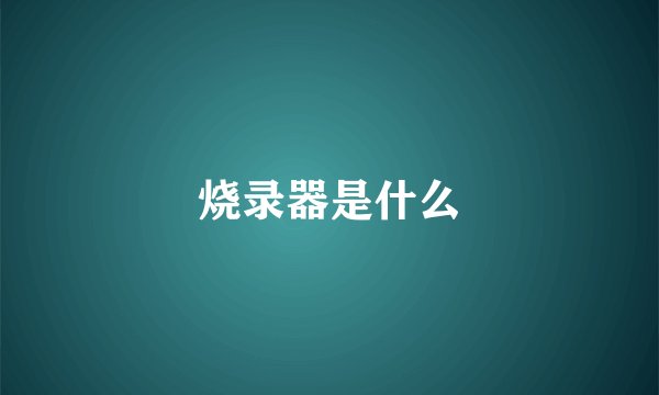 烧录器是什么