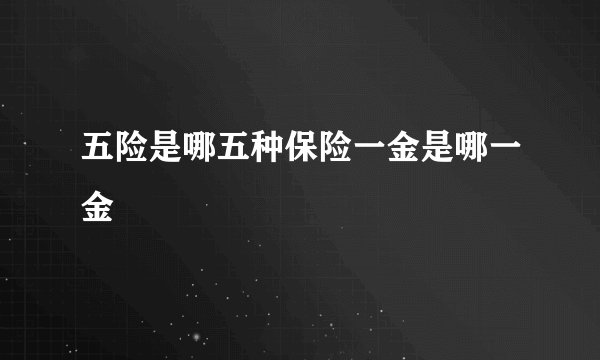 五险是哪五种保险一金是哪一金