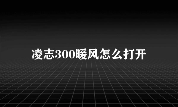 凌志300暖风怎么打开