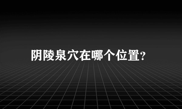 阴陵泉穴在哪个位置？