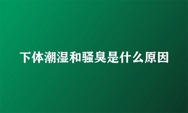 下体潮湿和骚臭是什么原因