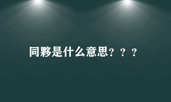 同夥是什么意思???