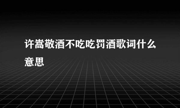 许嵩敬酒不吃吃罚酒歌词什么意思