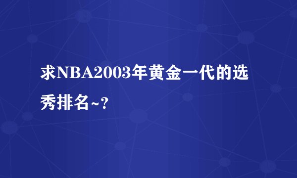 求NBA2003年黄金一代的选秀排名~？