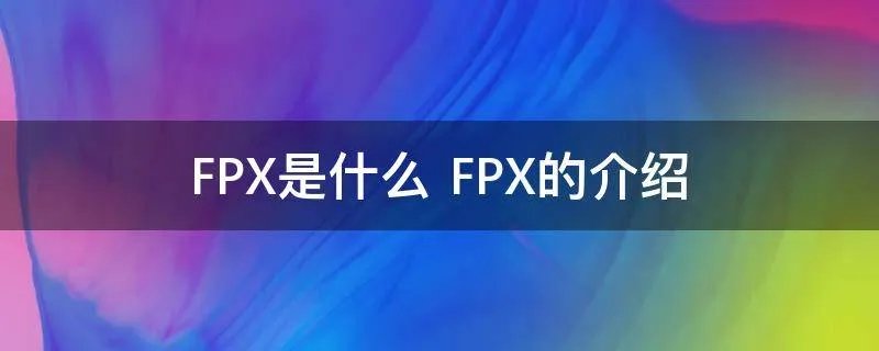 FPX是什么 FPX的介绍