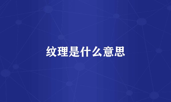 纹理是什么意思