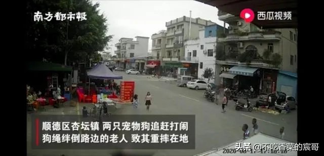 如果你是牵狗女孩,你会逃跑嘛?