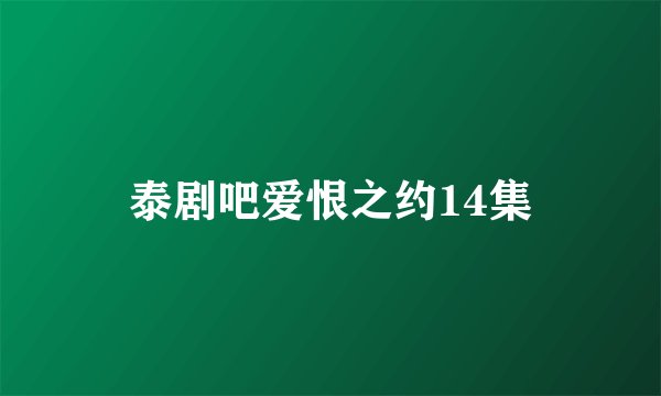 泰剧吧爱恨之约14集