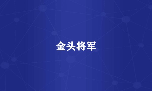 金头将军