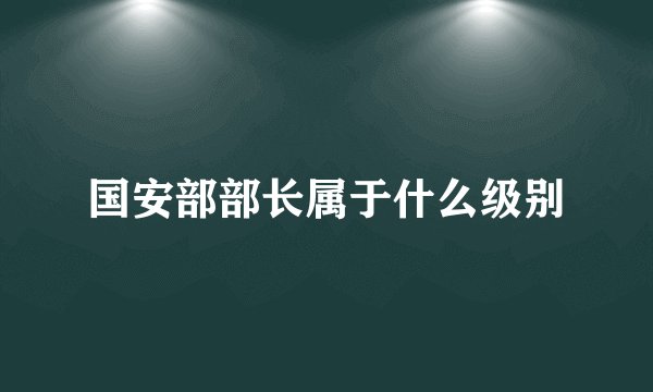 国安部部长属于什么级别
